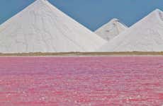 Bonaire Sightseeing Tour