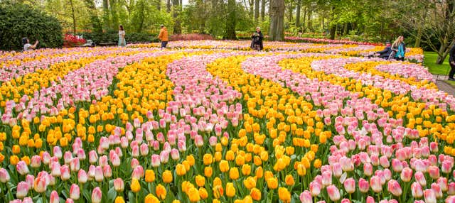 Biglietti per Keukenhof