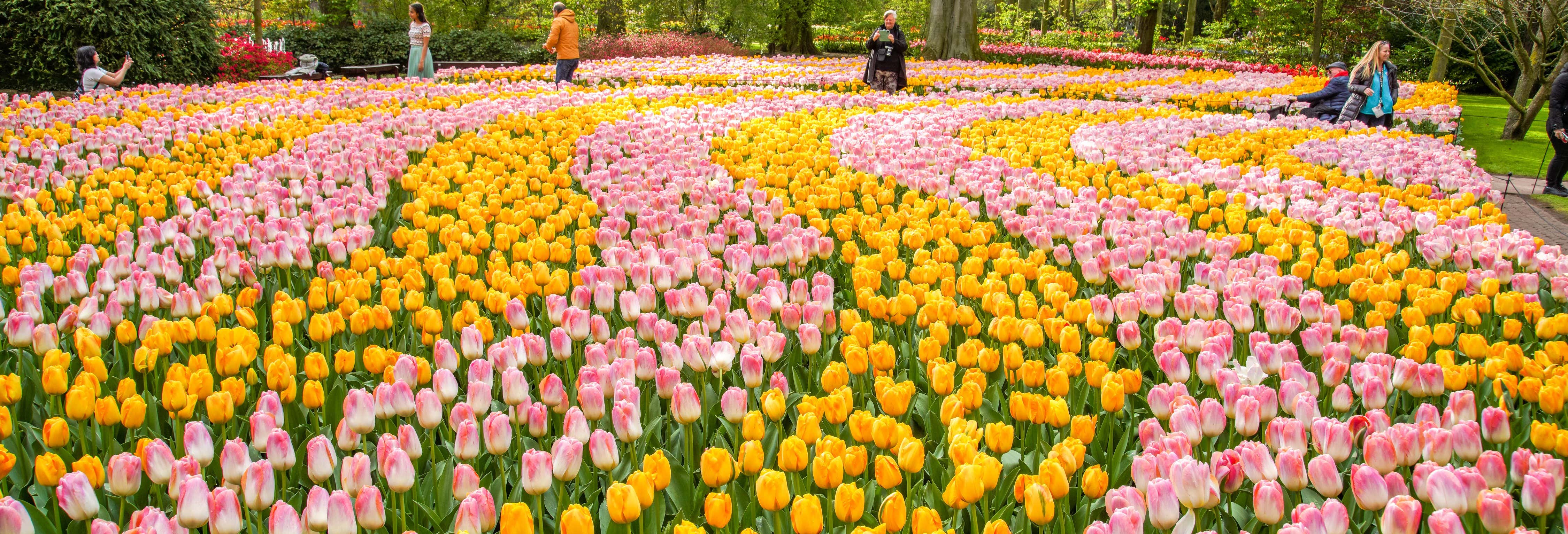 Keukenhof Ticket