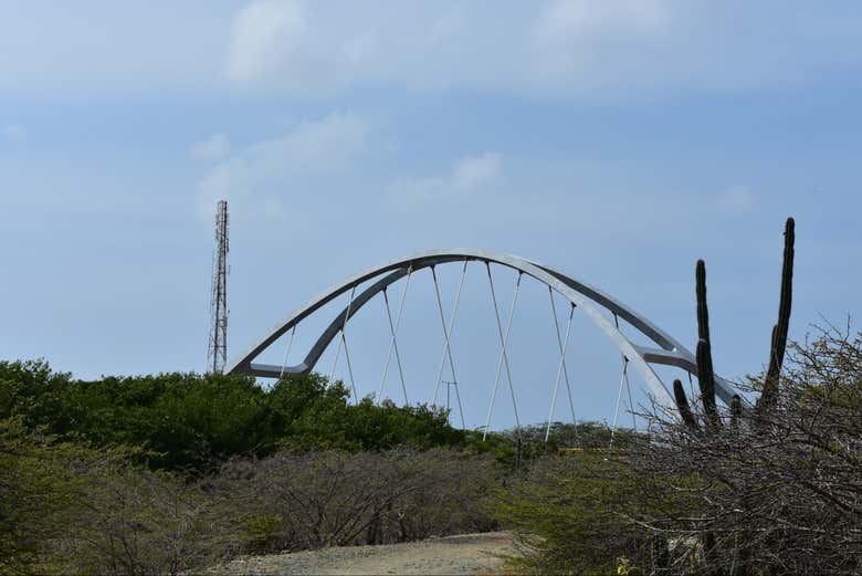 Imagen 6