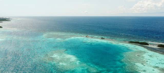 Tour di Spanish Lagoon e Mangel Halto in kayak + Snorkeling