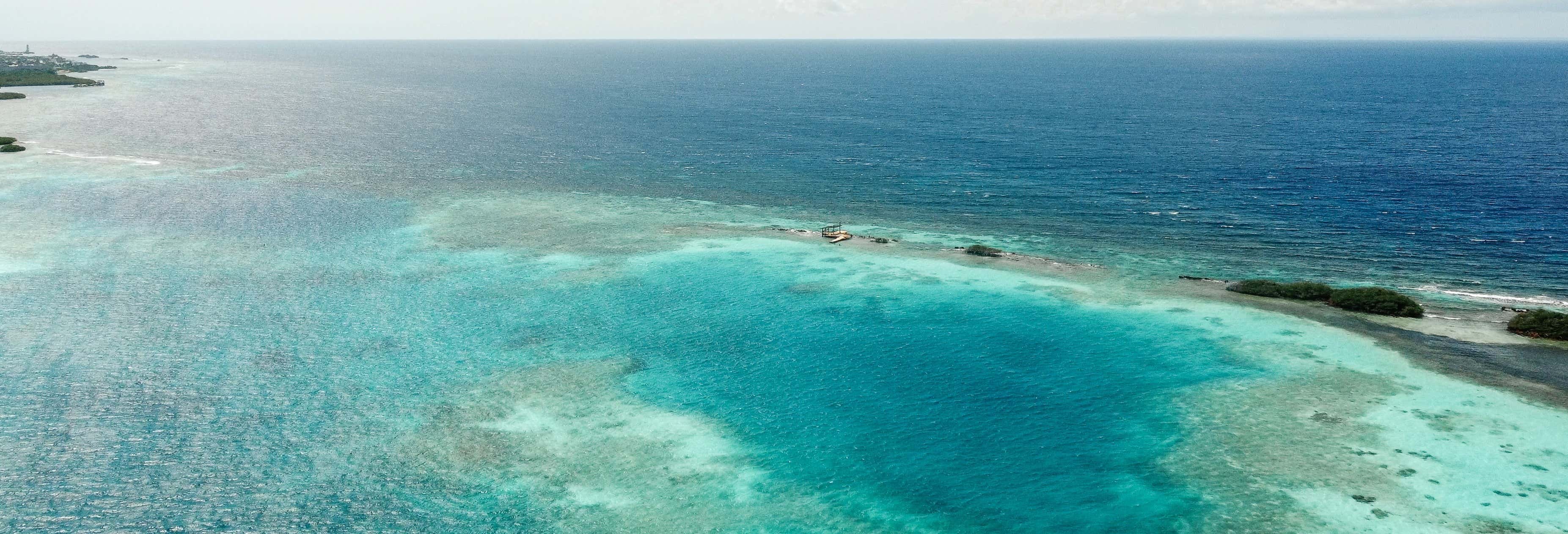 Tour di Spanish Lagoon e Mangel Halto in kayak + Snorkeling