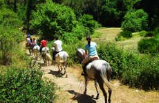 Horseback Riding in Northern Aruba