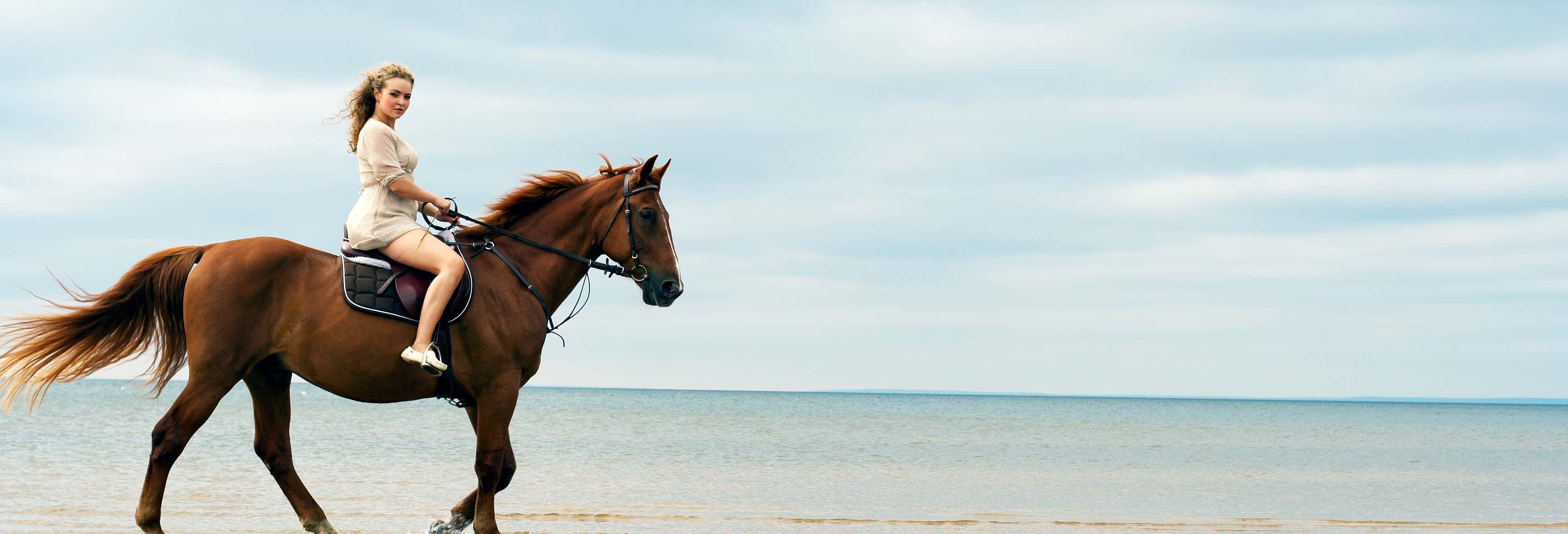 Wariruri Beach Horseback Ride