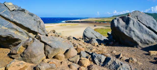 Tour del nord di Aruba in 4x4