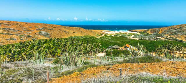 Tour in 4x4 nel Parco Nazionale di Arikok