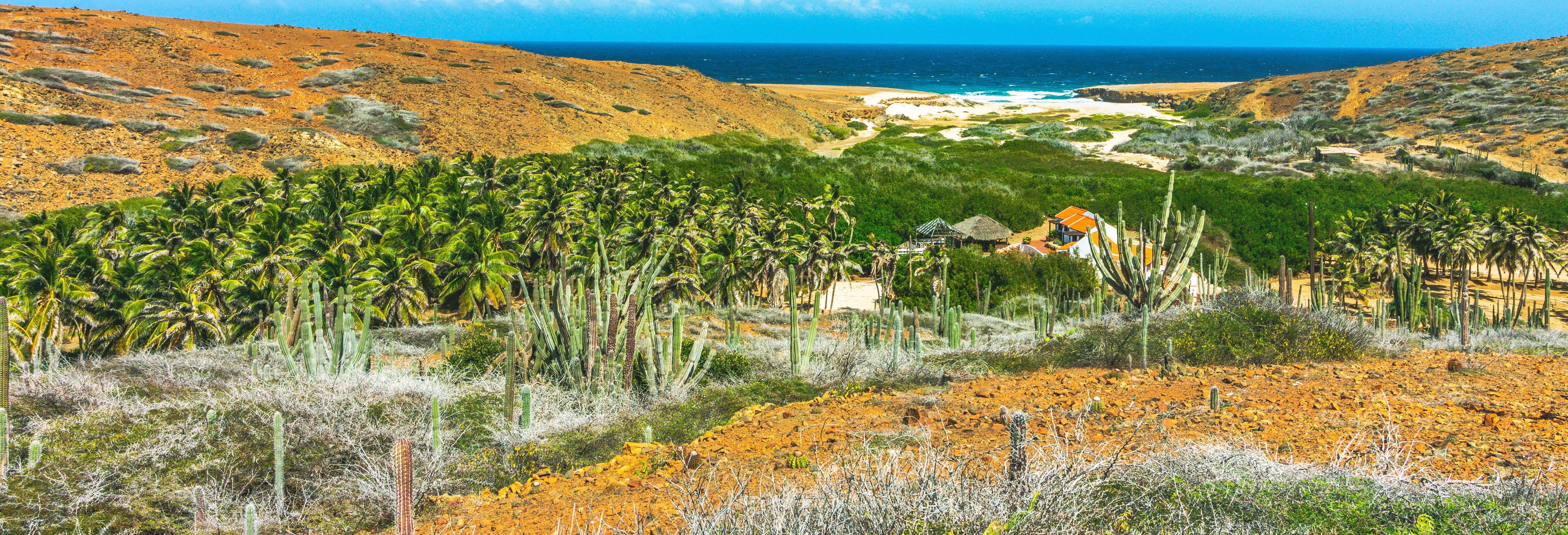 Tour in 4x4 nel Parco Nazionale di Arikok