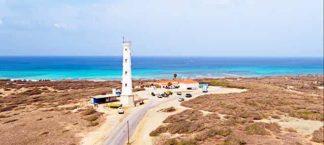 Tour di Aruba in buggy