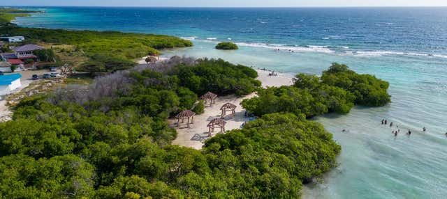 Tour di Aruba in 4x4