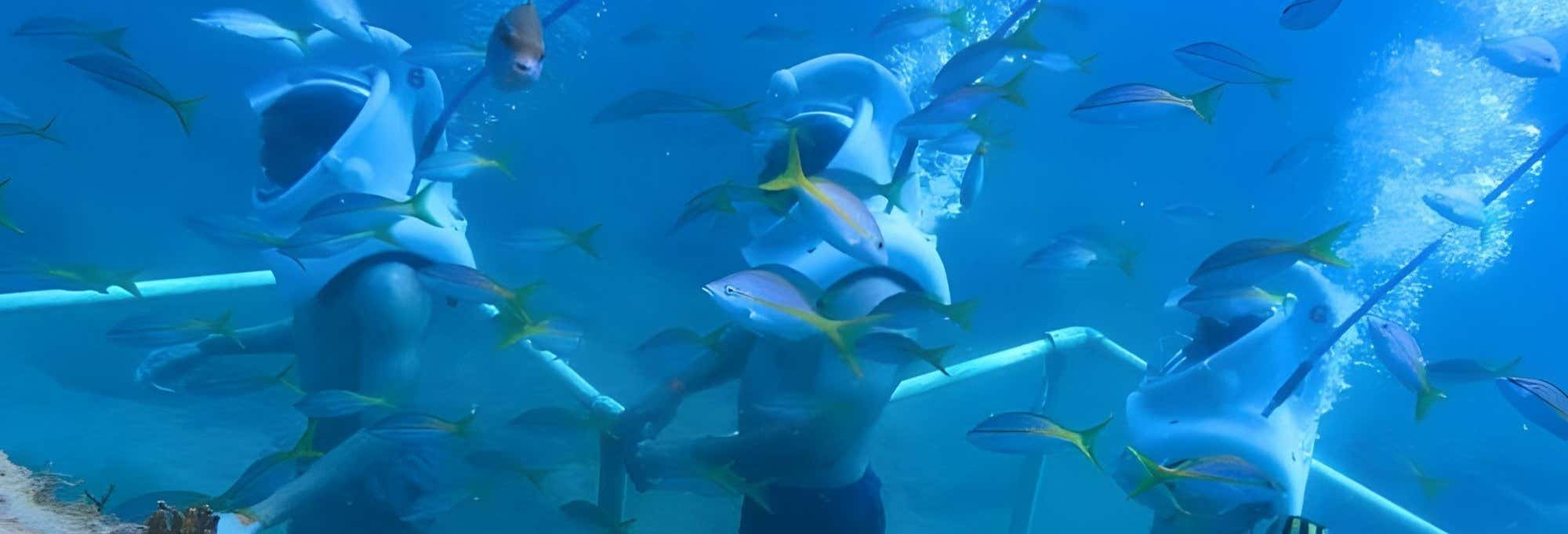 Snorkeling e Sea Trek a Phillipsburg