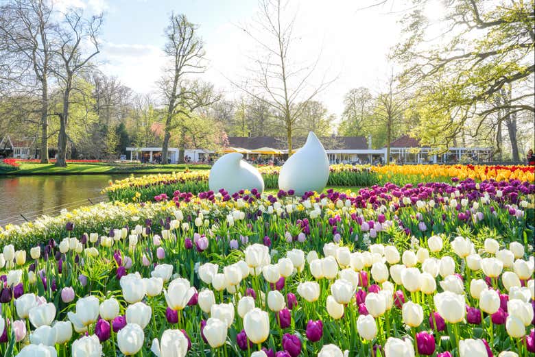 Bus to Keukenhof + Ticket