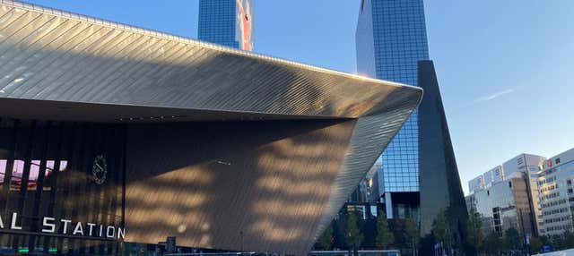 Tour guidato dell'architettura di Rotterdam