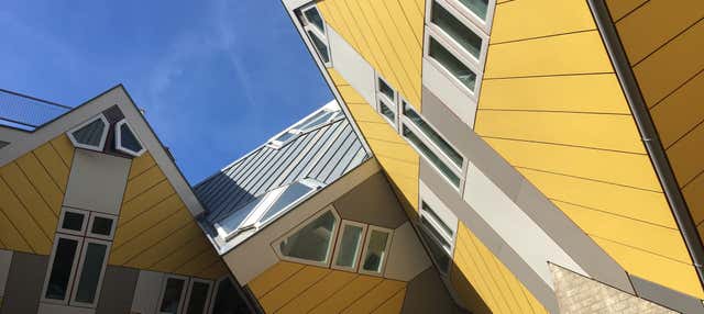 Tour dell'arte e dell'architettura di Rotterdam