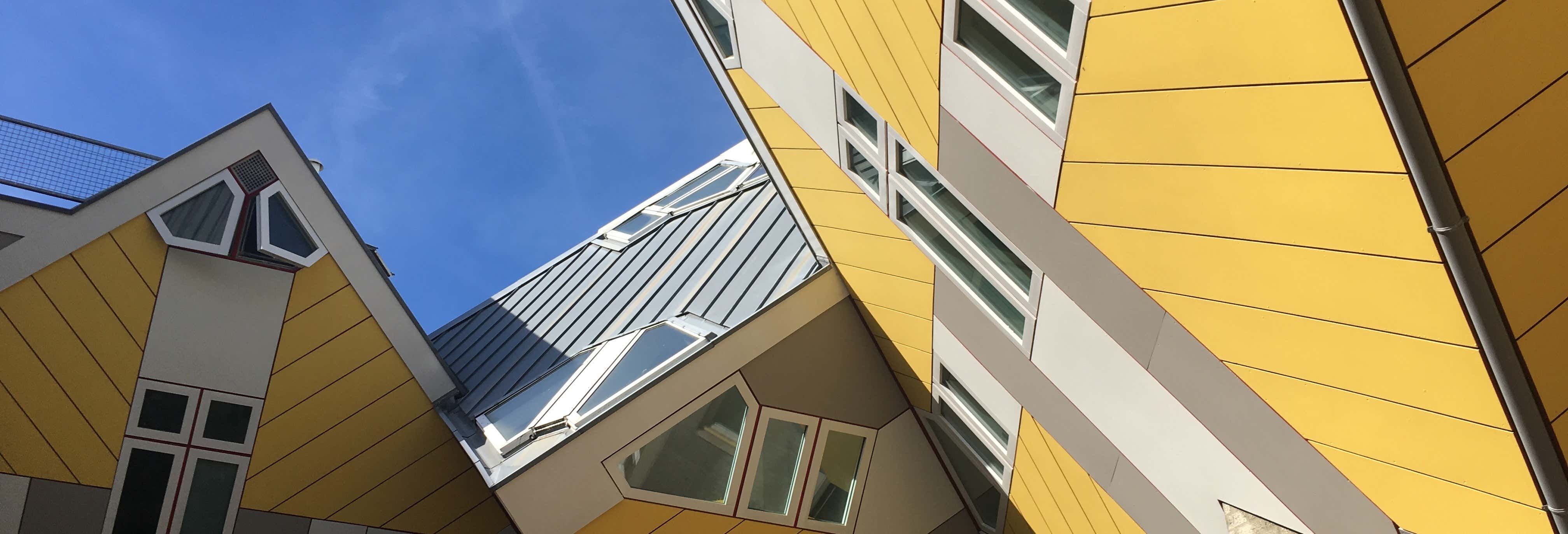 Rotterdam Art and Architecture Tour