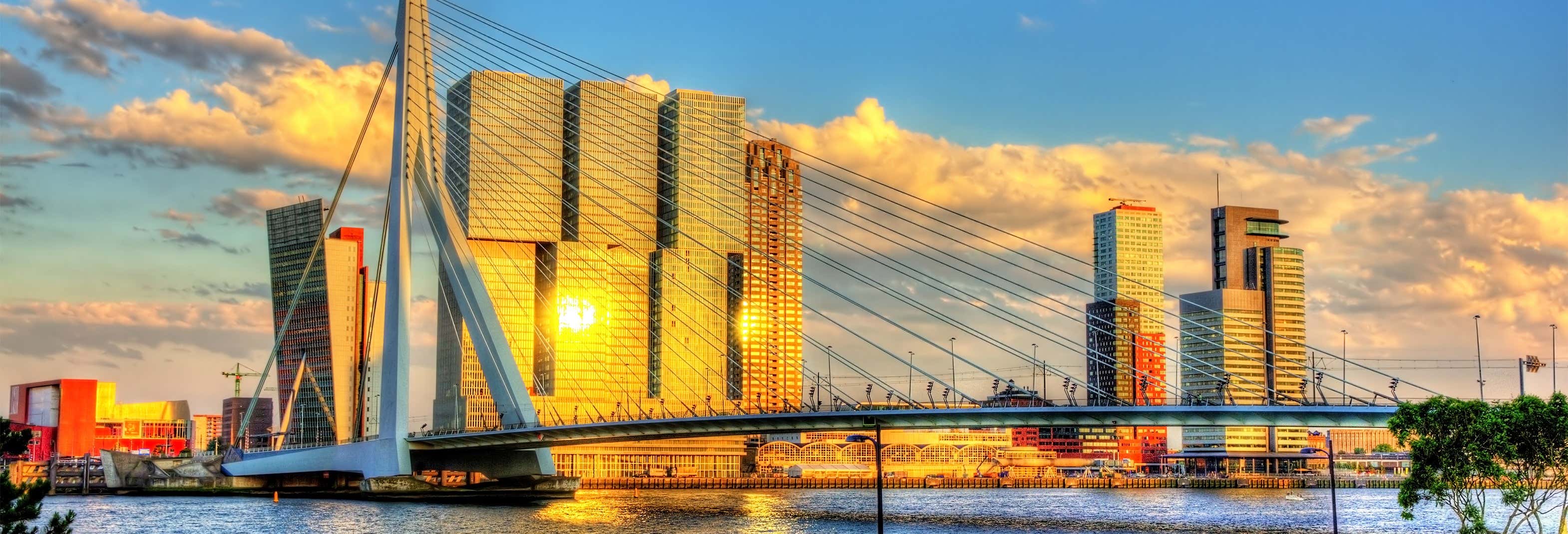 Private Tour of Rotterdam