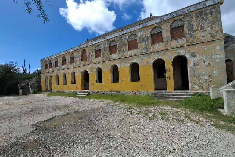 Imagen 6