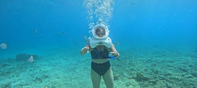 Seawalking a Willemstad