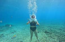 Willemstad Seawalking Tour