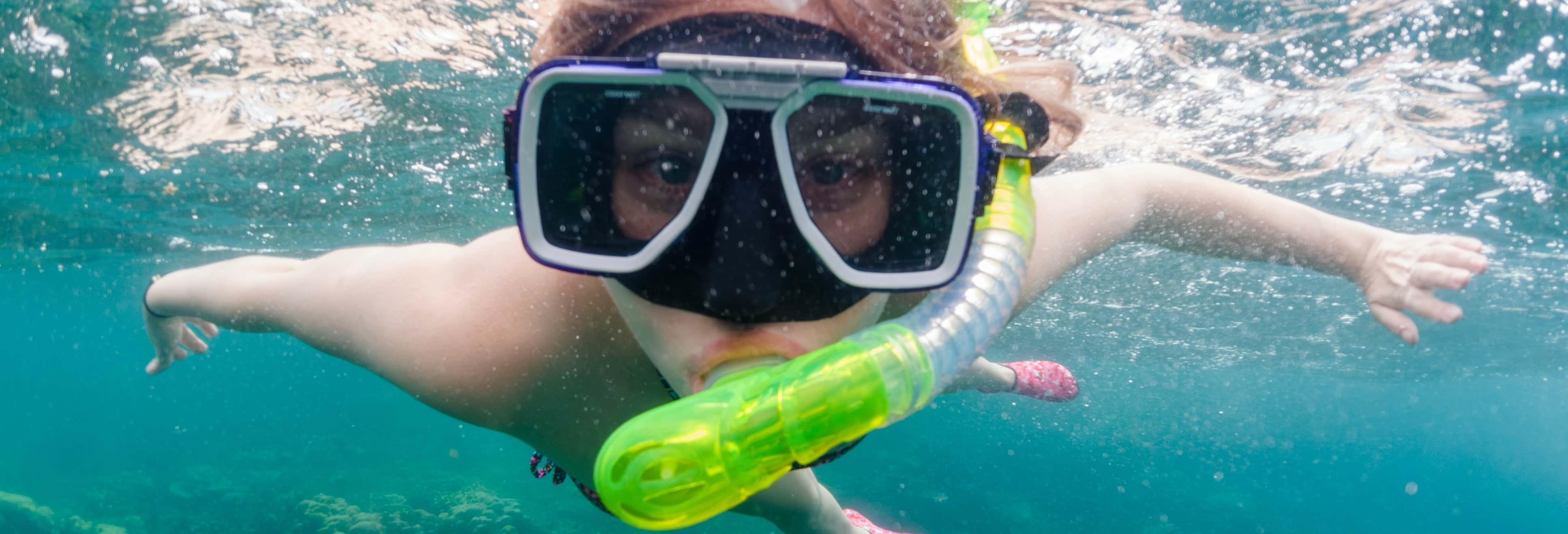Snorkeling a Willemstad
