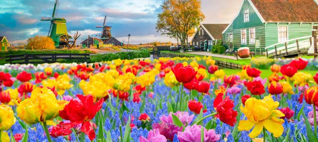 Visite guidée à vélo des Moulins de Zaans Schans