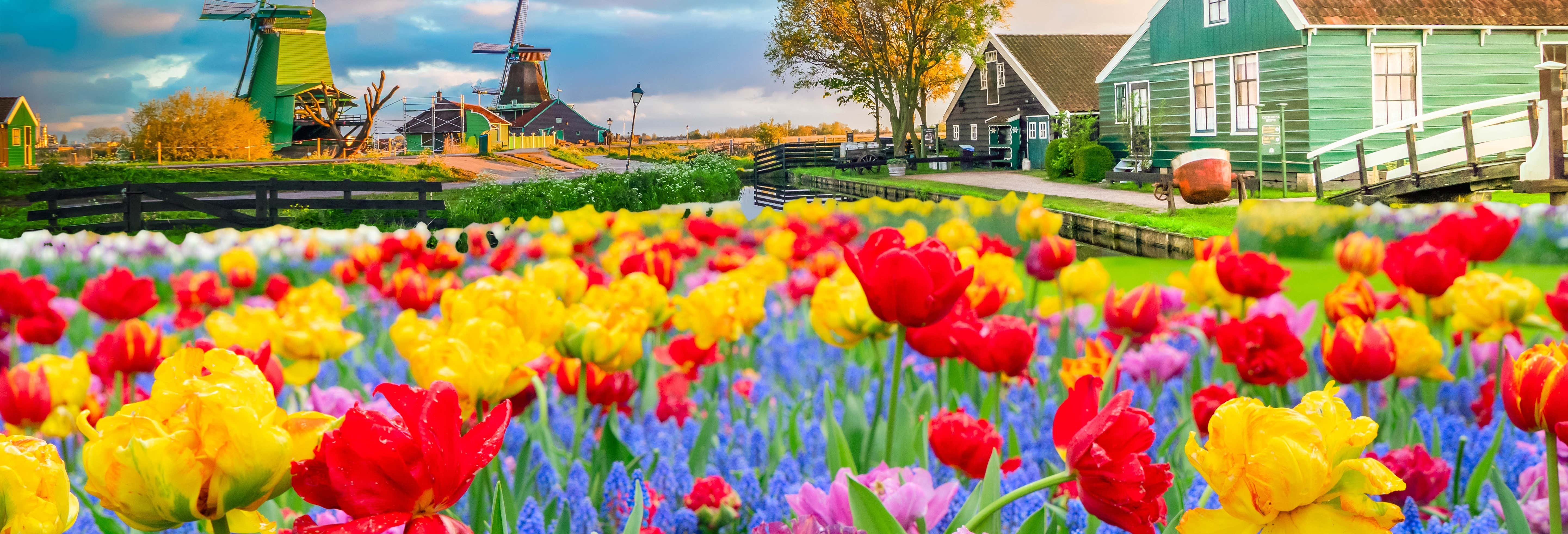 Visite guidée à vélo des Moulins de Zaans Schans