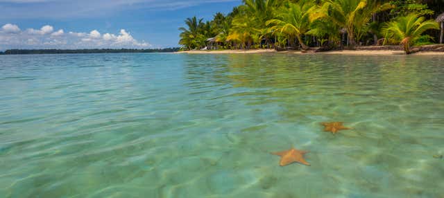 Escursione a Playa Estrella e Isla Pájaros