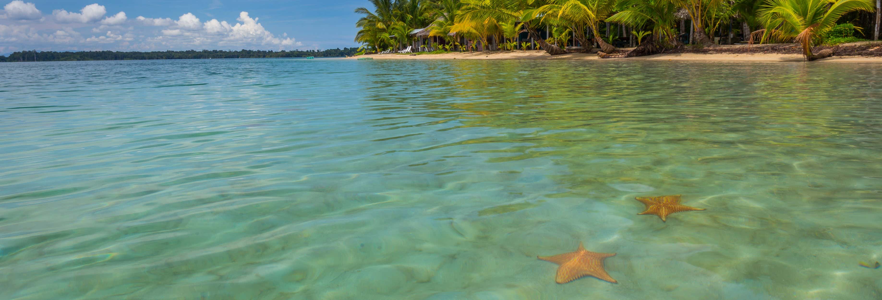 Escursione a Playa Estrella e Isla Pájaros
