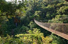 Tickets to Tree Trek Boquete