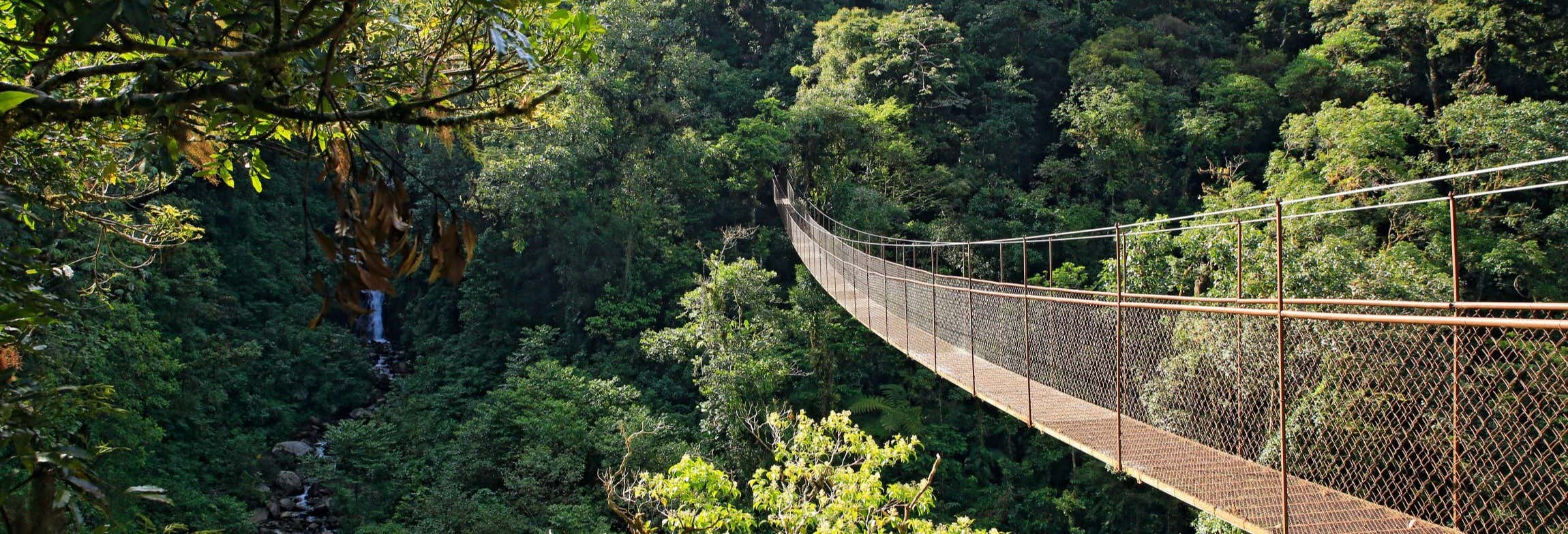 Biglietti per il parco avventura Tree Trek Boquete + Attività