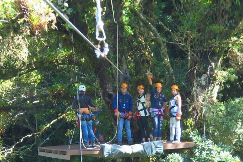 Imagen 5