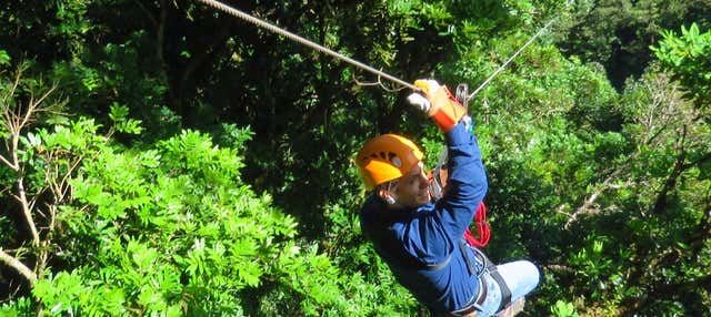 Zip line nel Parco Nazionale La Amistad
