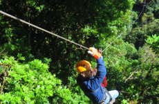 La Amistad National Park Zipline