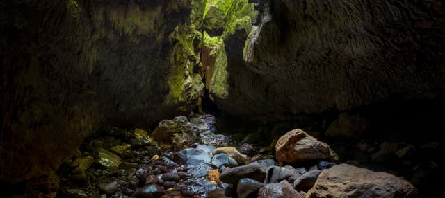 Escursione alle grotte di Bayano + Kayak sul Tigre
