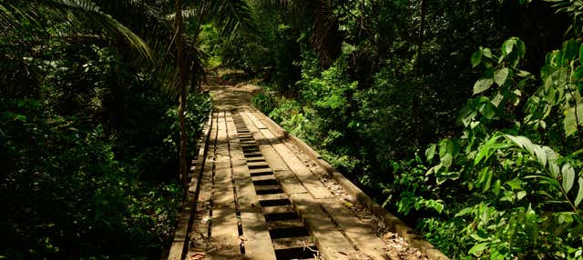 Birdwatching al Pipeline Trail di Gamboa