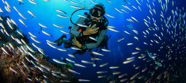 Immersione a Città di Panama