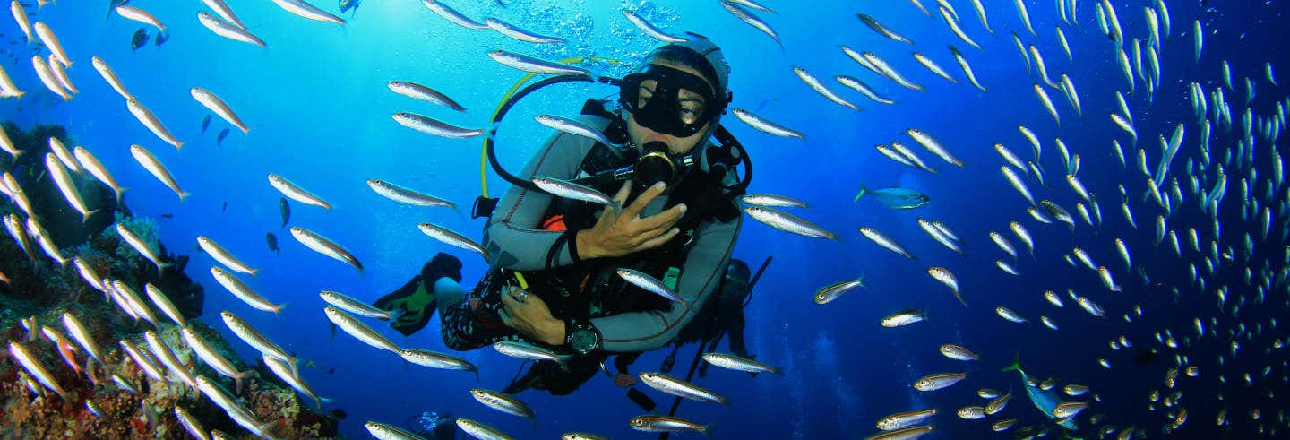 Immersione a Città di Panama
