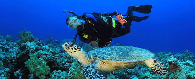 Scuba diving in Panama City