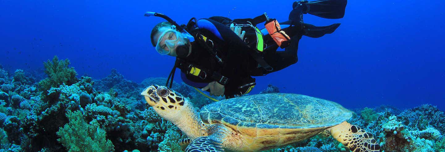 Immersione a Portobelo