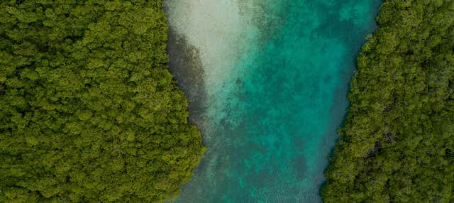 Cristo Negro de Portobelo, Venas Azules y Playa Blanca