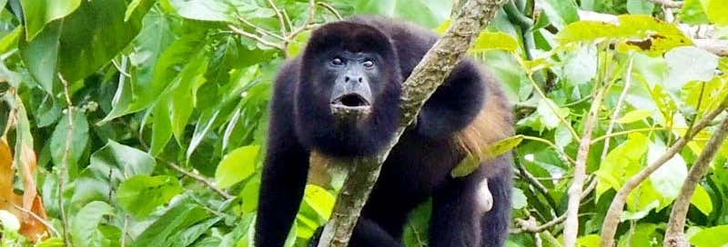 Escursione al Canale di Panama e all'isola di Monos