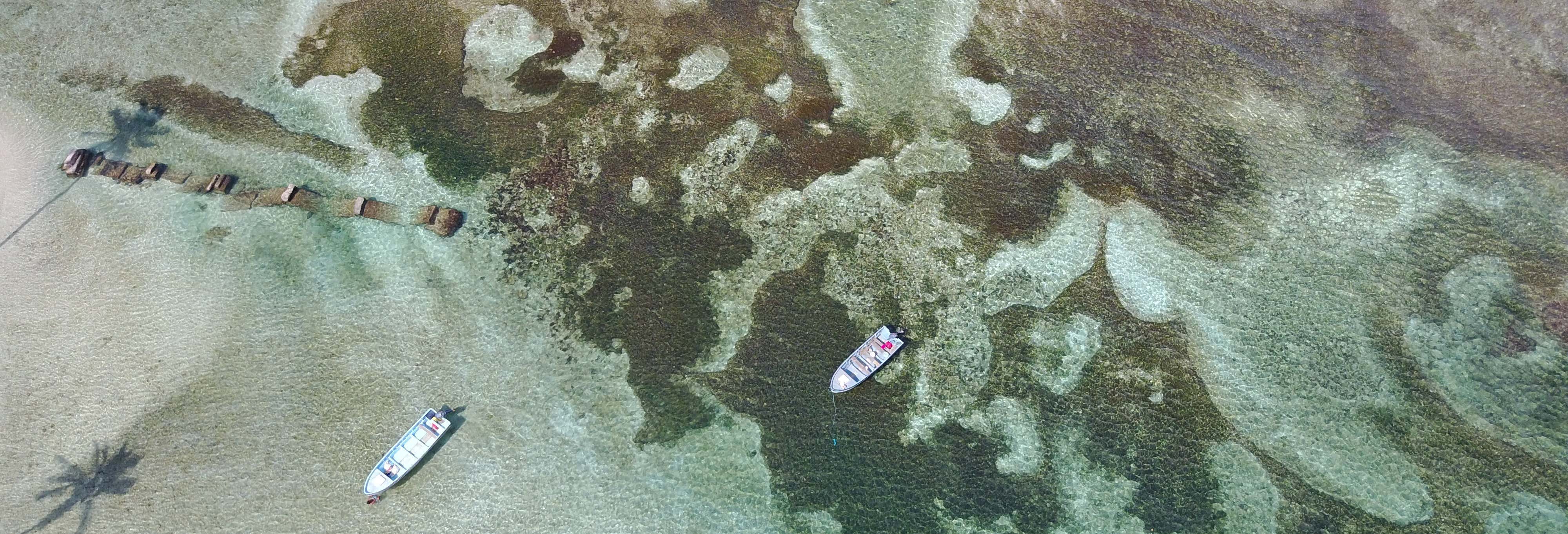 Escursione a Isla Mamey