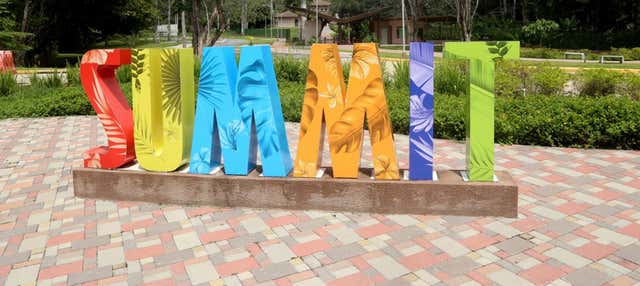 Escursione al Parque Municipal Summit