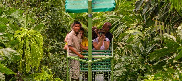 Escursione al Parco Nazionale Soberanía e al santuario dei bradipi