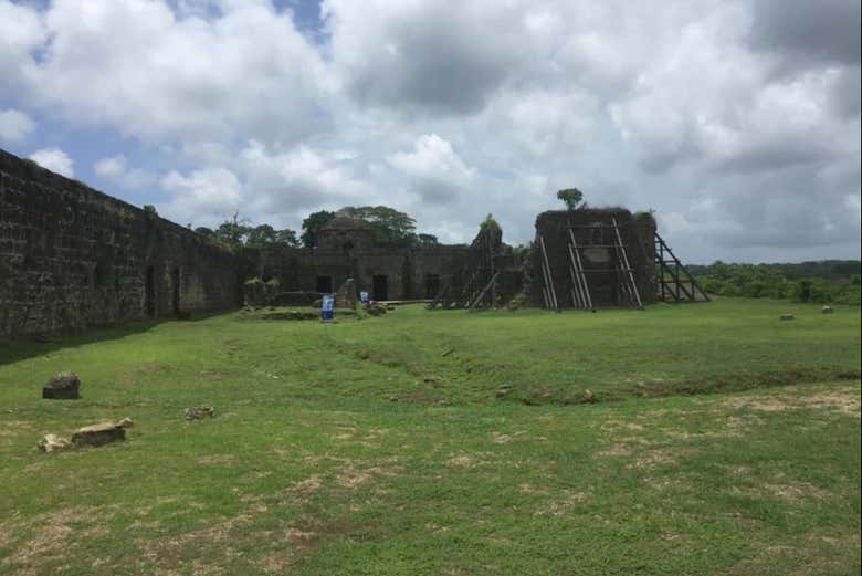 Espacios verdes en la fortaleza de San Lorenzo - Espacios verdes en la fortaleza de San Lorenzo