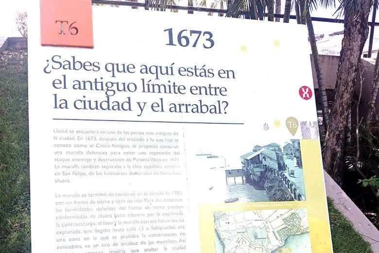 Imagen 8