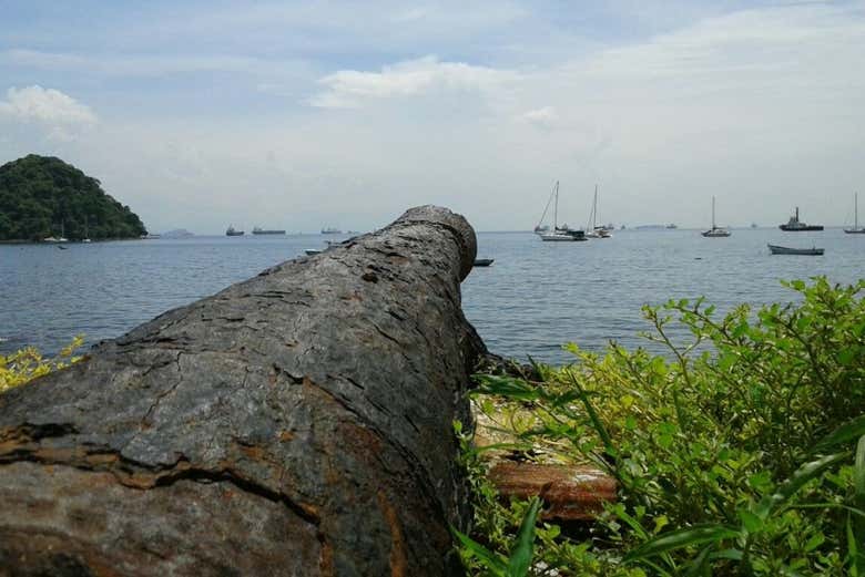 Immerse yourself in the lush nature of Taboga Island - Immerse yourself in the lush nature of Taboga Island