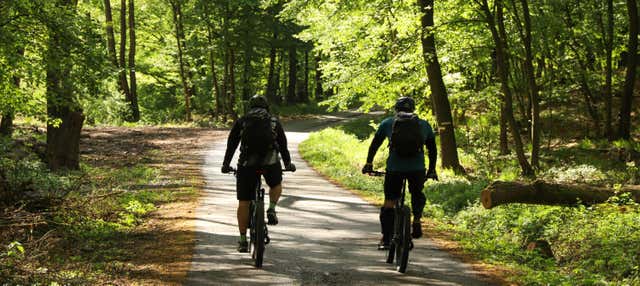 Tour in bici a El Valle de Antón