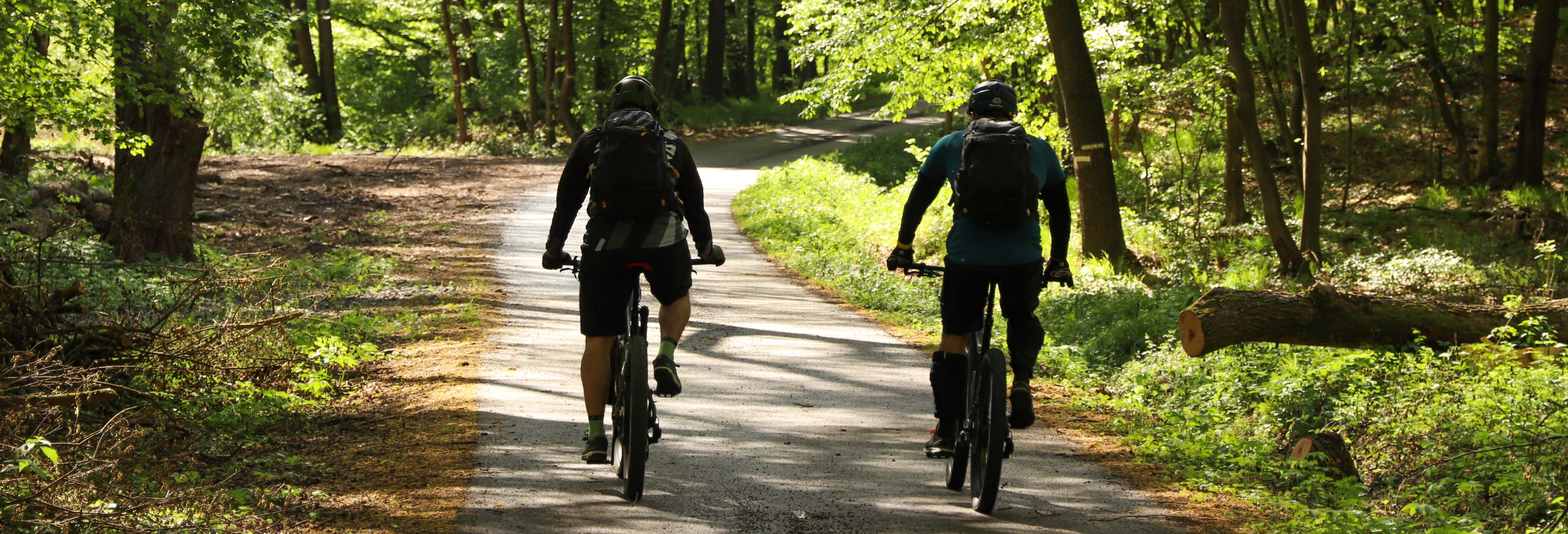 Tour in bici a El Valle de Antón