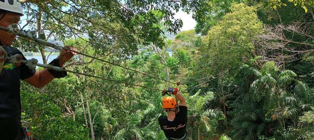 Zip line al parco Tree Trek Gamboa