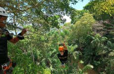 Zipline at Gamboa Tree Trek